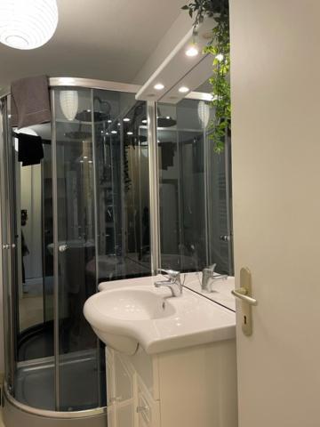 Appartement Cosy Hyper Centre ชาโตรูซ์ ภายนอก รูปภาพ